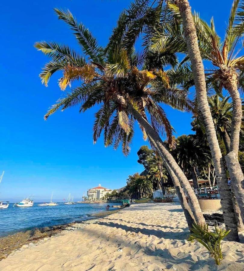 Gorgeous Oceanfront Villa With Panoramic Views Avalon Luaran gambar