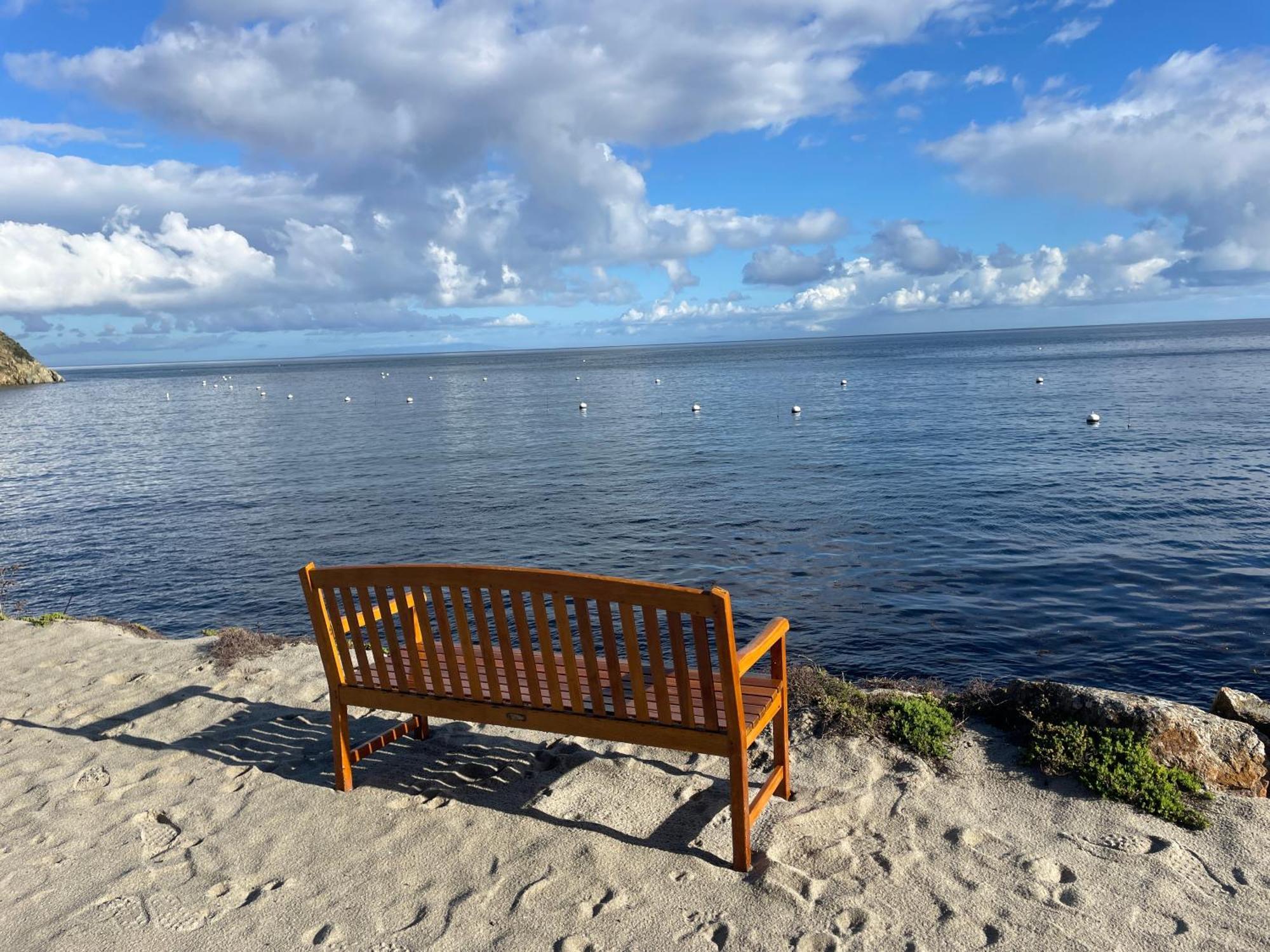 Gorgeous Oceanfront Villa With Panoramic Views Avalon Luaran gambar