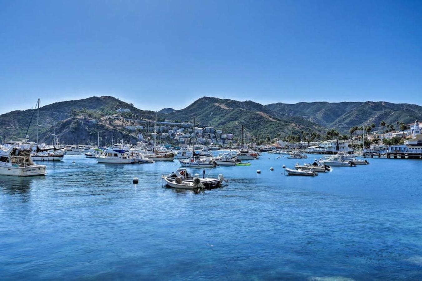 Gorgeous Oceanfront Villa With Panoramic Views Avalon Luaran gambar